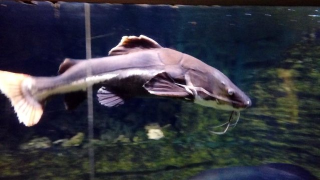 20160817_134016.jpg