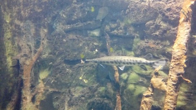 20160817_134124.jpg