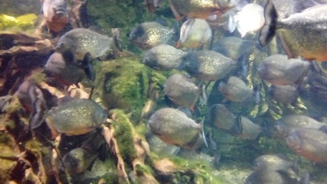 20160817_134156.jpg