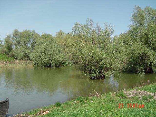 Ã…Å¾i un peisaj de la &amp;quot;locul cu pricina&amp;quot; care incitÃ„Æ’