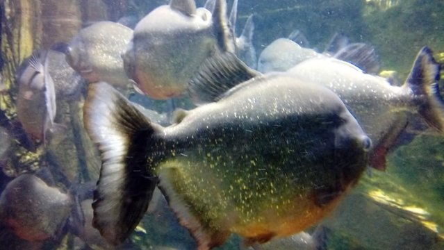 20160817_134202.jpg