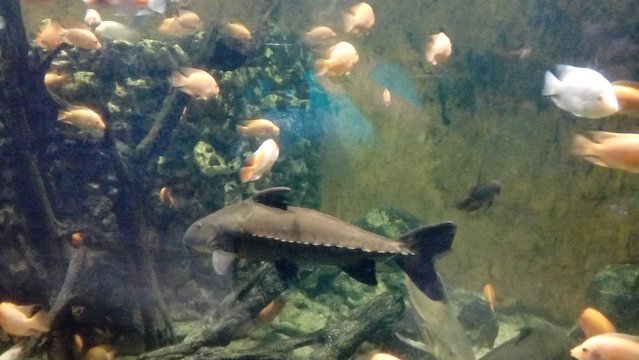 20160817_134223.jpg