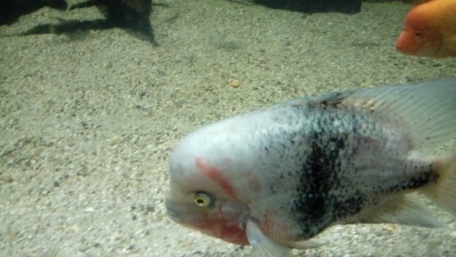 20160817_134430.jpg