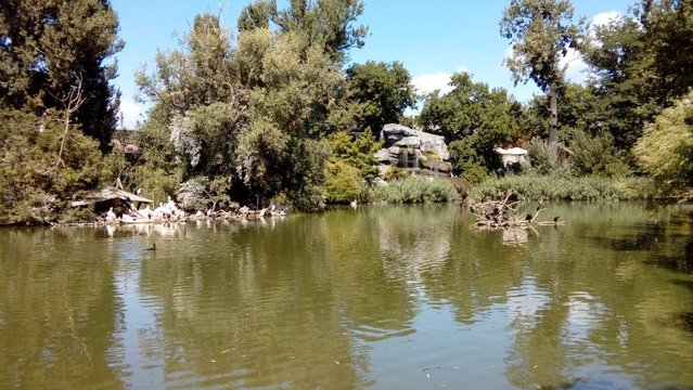 20160817_135318.jpg
