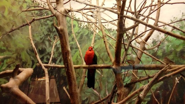 20160817_140156.jpg