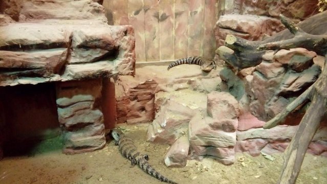 20160817_140329.jpg