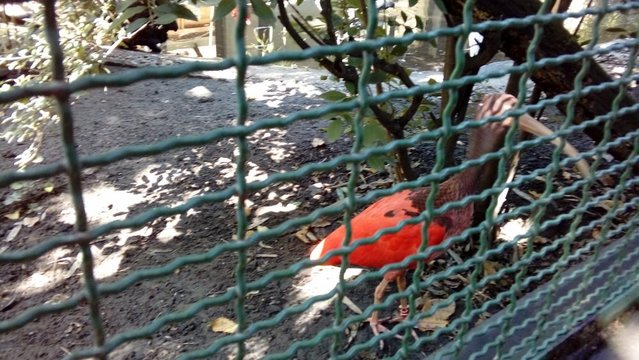 20160817_141629.jpg