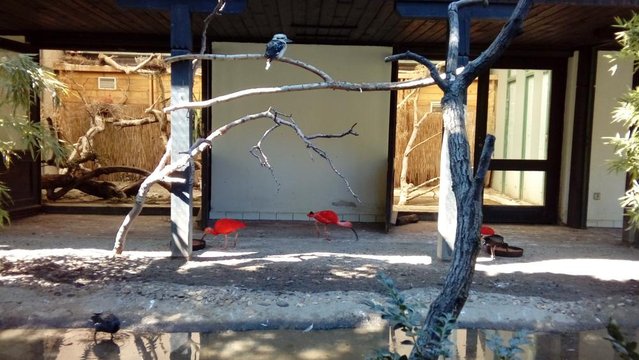 20160817_141656.jpg