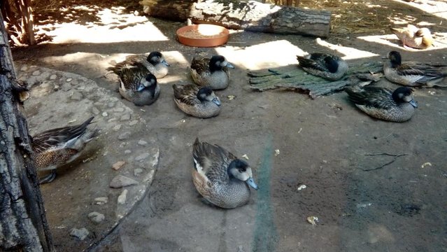 20160817_141807.jpg