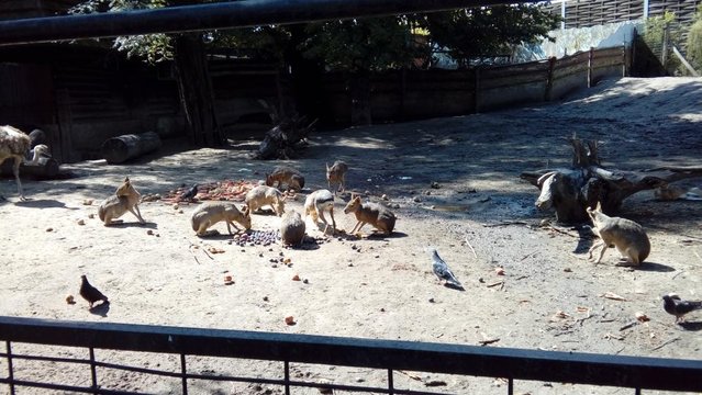 20160817_142050.jpg
