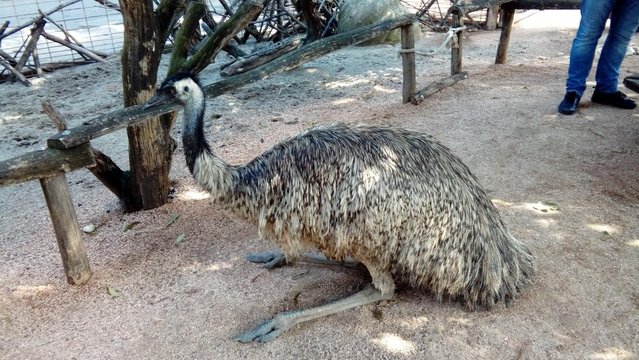 20160817_142838.jpg