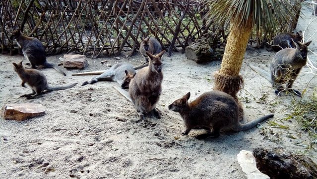 20160817_142859.jpg