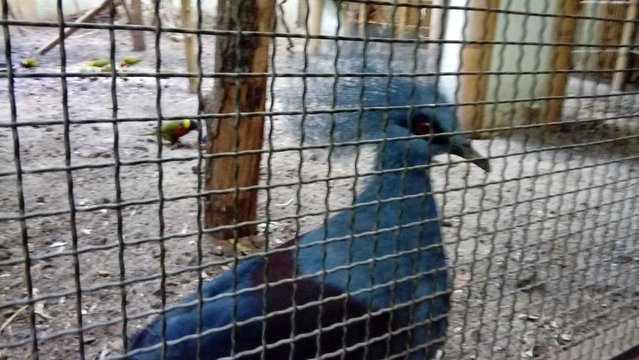 20160817_144716.jpg