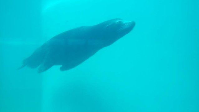 20160817_145536.jpg
