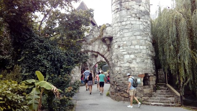 20160817_153731.jpg