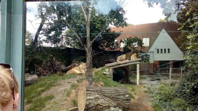 20160817_154621.jpg