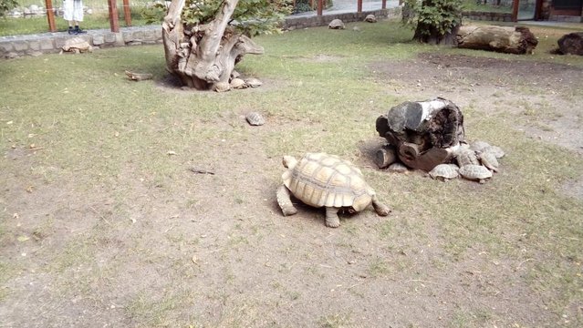 20160817_155401.jpg