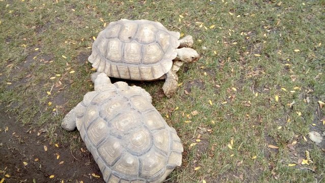 20160817_155601.jpg