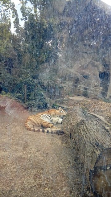 20160817_160444.jpg