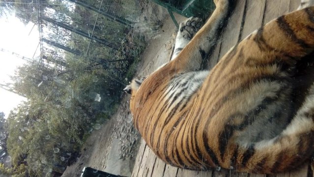 20160817_161031.jpg