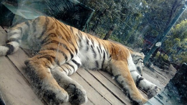 20160817_161058.jpg