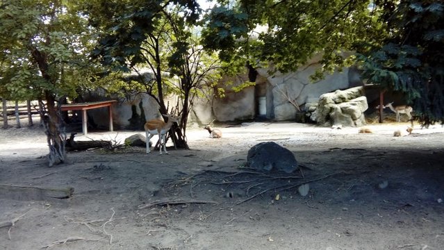 20160817_161303.jpg