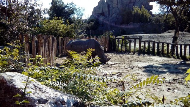 20160817_162523.jpg