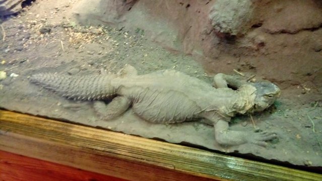 20160817_162722.jpg