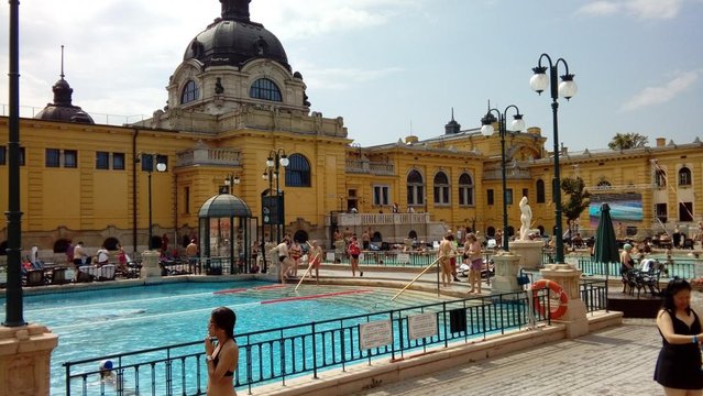 20160818_113109.jpg