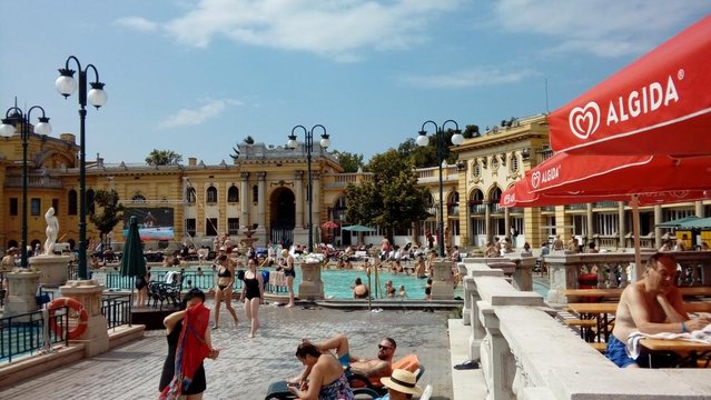 20160818_113113.jpg