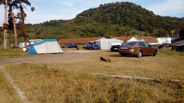 20160820_091132.jpg
