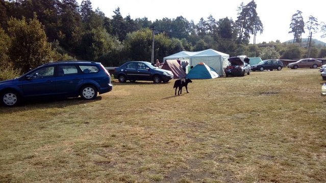 20160820_091529.jpg