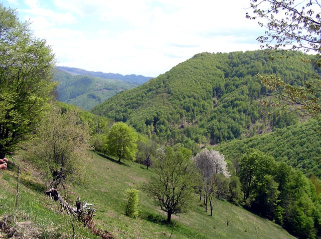 P4280002.jpg
