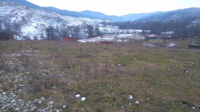 loc  campare jos
