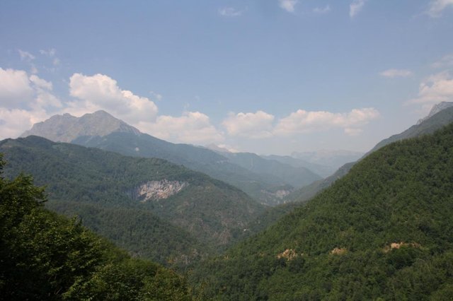 IMG_4495.JPG