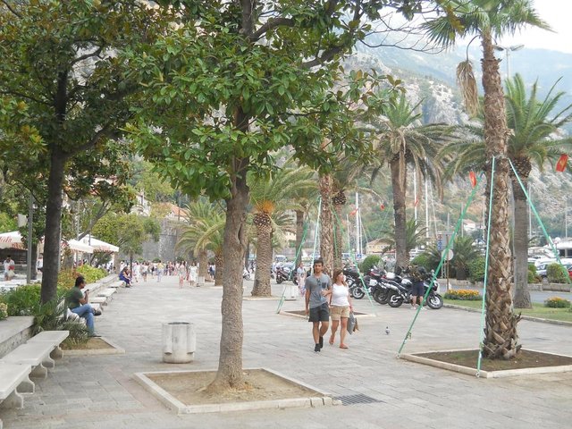 DSCN4933.JPG