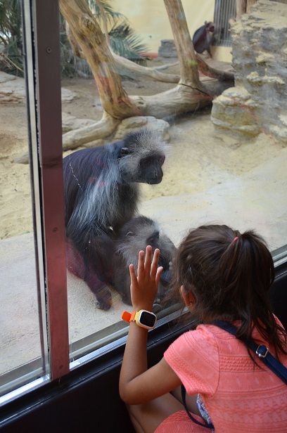 Zoo 1.jpg
