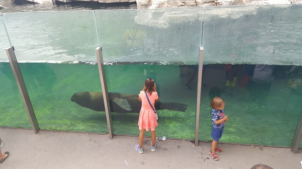 Zoo 8.jpg