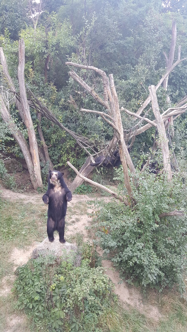 Zoo 10.jpg