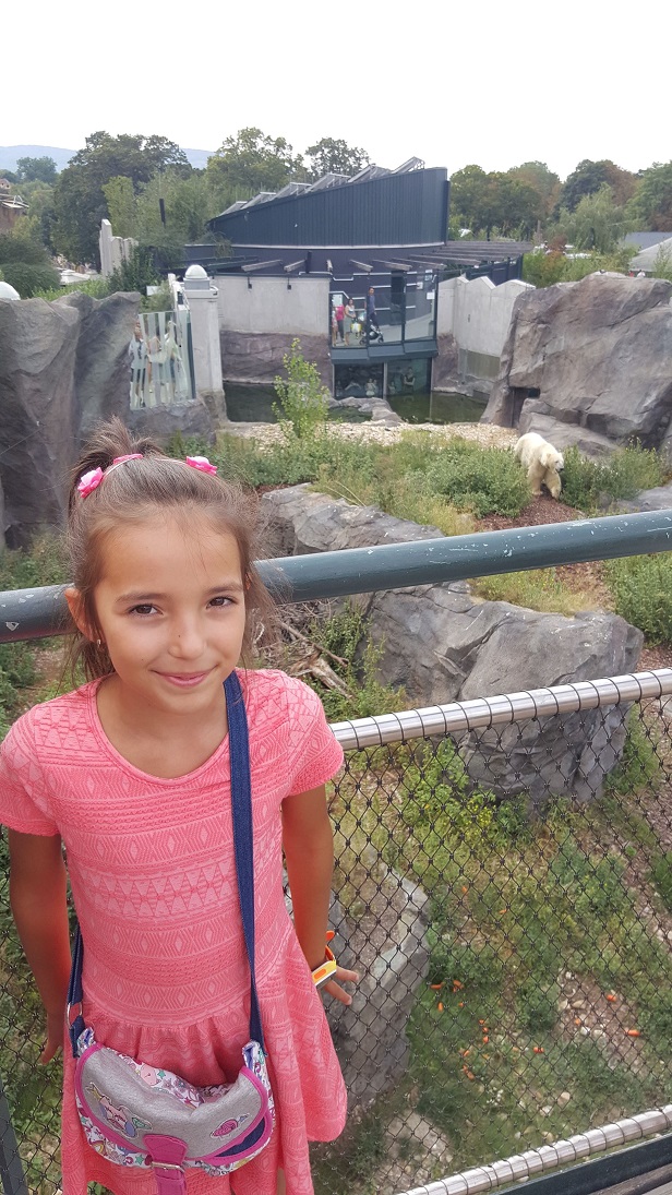 Zoo 11.jpg