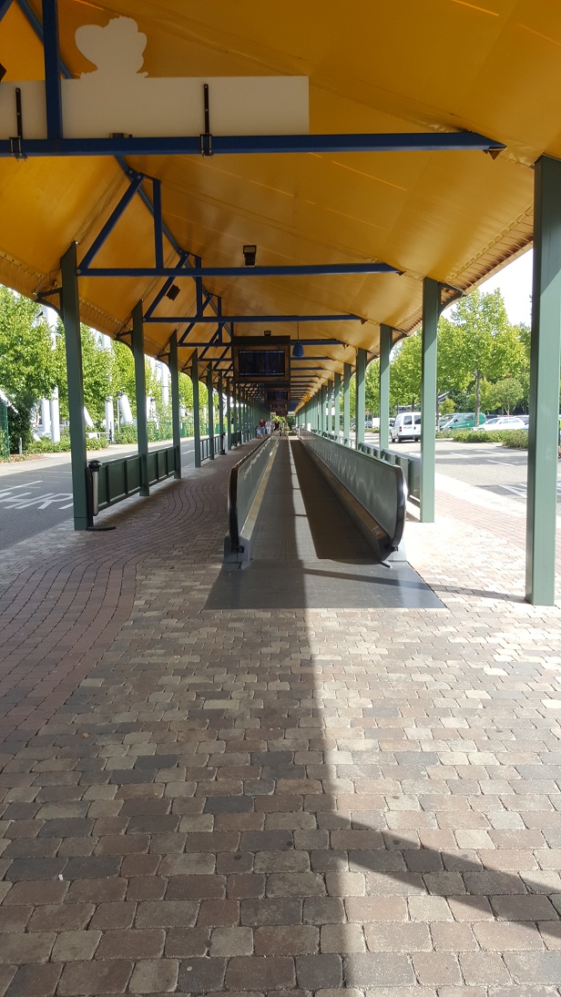 20170830_143941.jpg