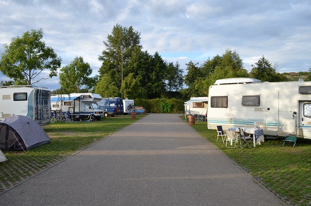 DSC_0393.JPG