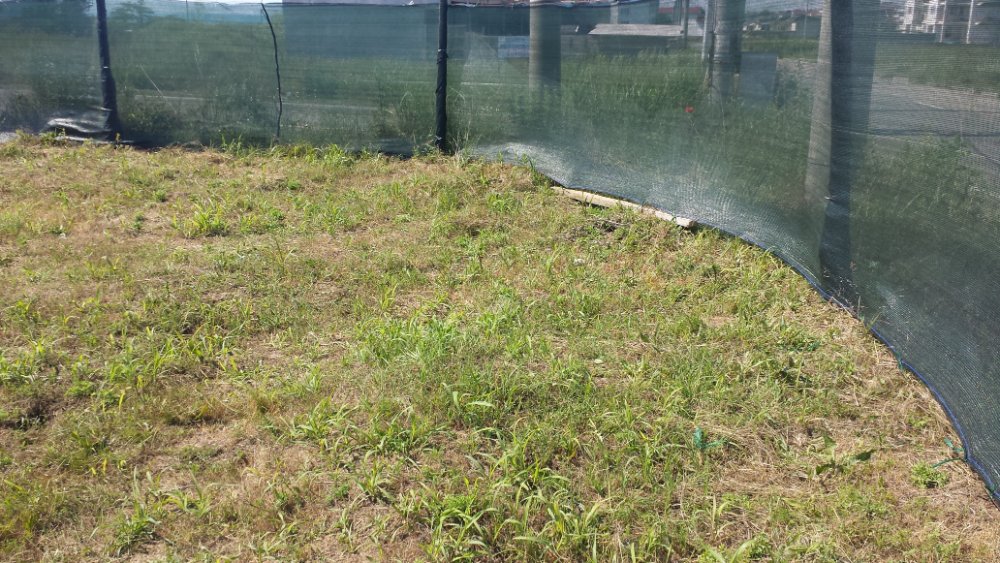 20170616_103622.jpg