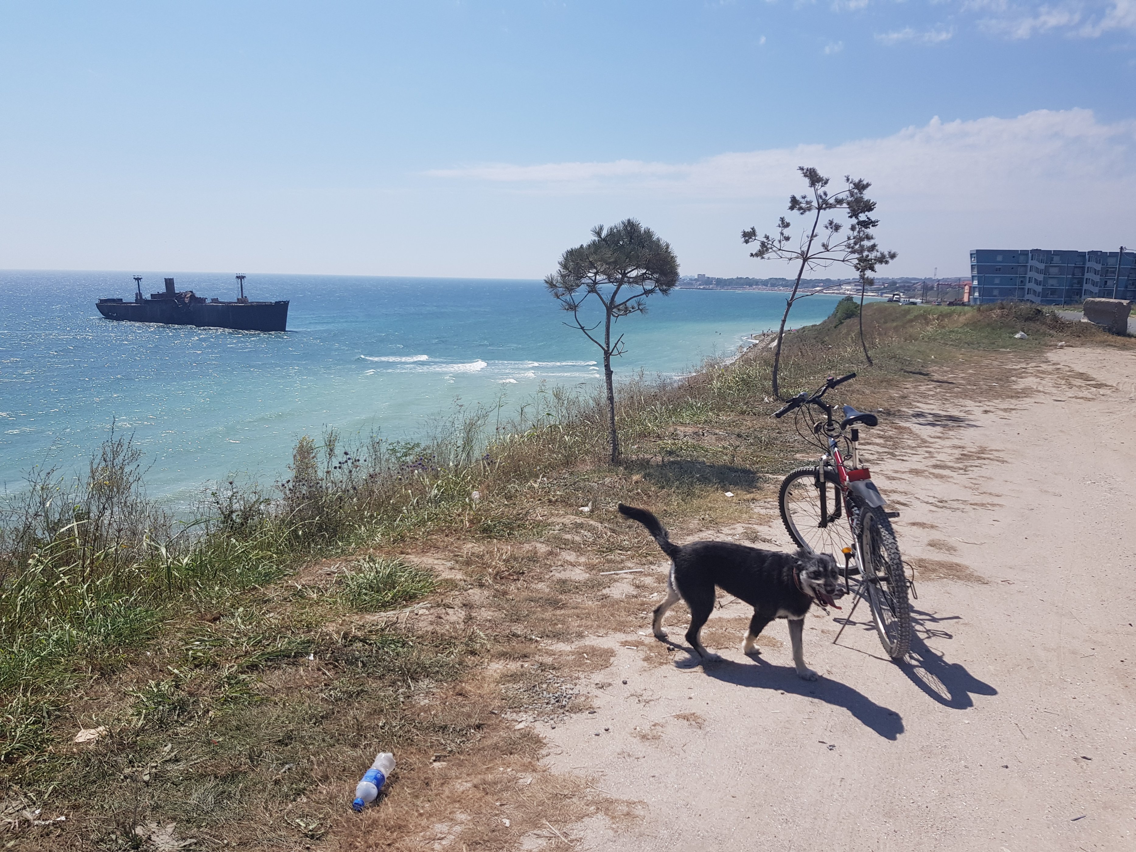 20180818_122208.jpg