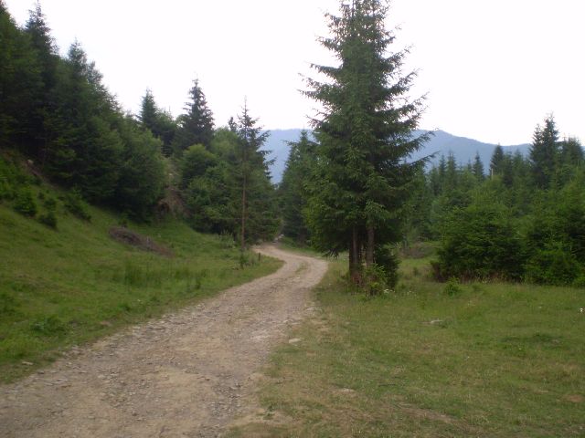 P7100153.JPG