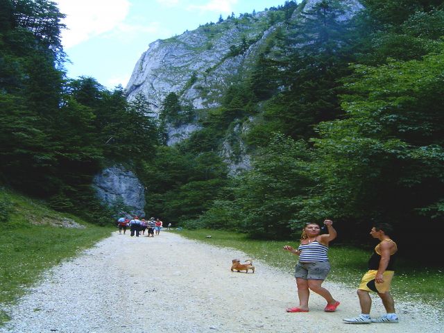 hp_25_640x480_949.jpg