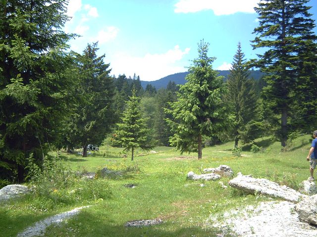 PICT0071 [640x480].JPG