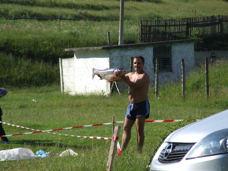 nici_o_masa_fara_peste_569.jpg