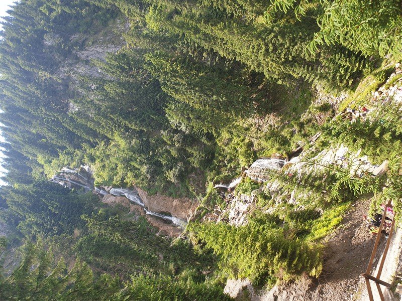 20190625_123547_800x600.jpg