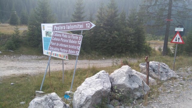 p2.JPG